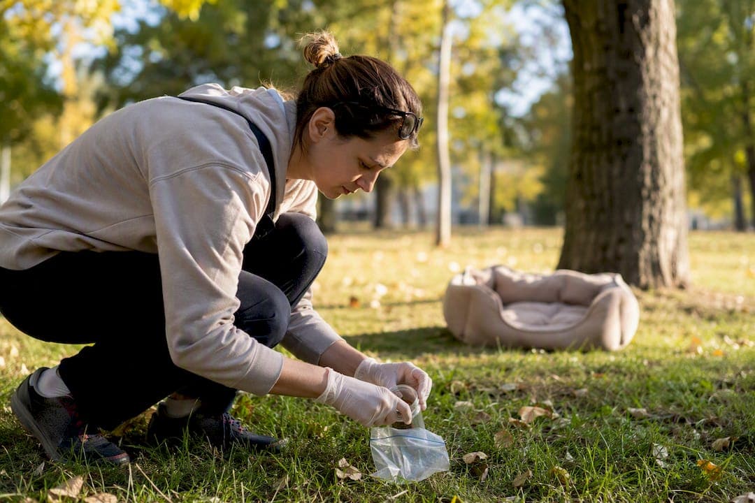 Fecal Tests for Dogs: What to Expect and How to Prepare