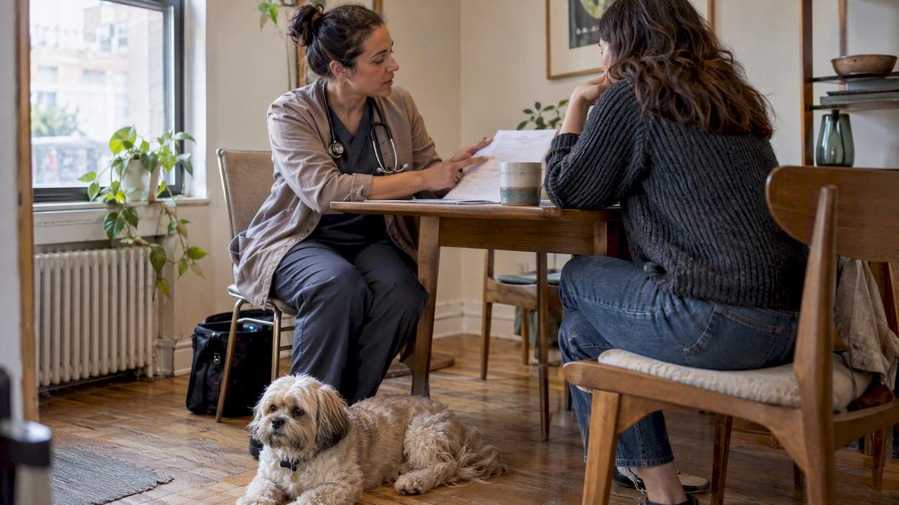 Plan for $250+ Surprises: Get an Itemized House Call Vet Estimate