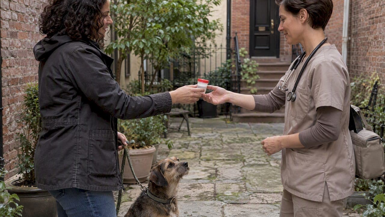 Dog Owners: Vet Ready Stool Samples in 2 Hours, Fear Free Pickup